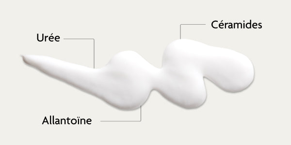Ingrédients de la lotion SKINTIST à l'urée