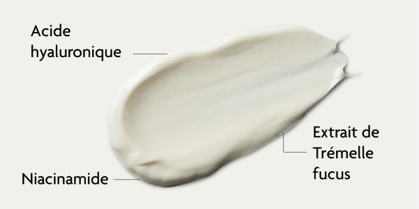 Ingrédients de la crème anti-âge SKINTIST
