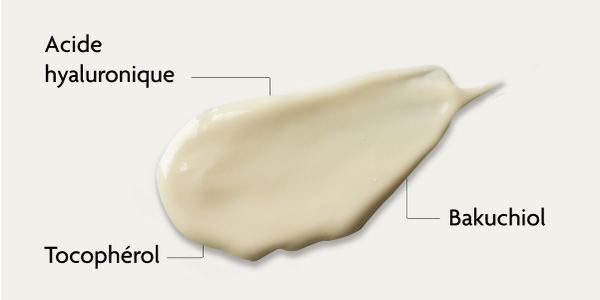 Ingrédients de la crème de nuit SKINTIST