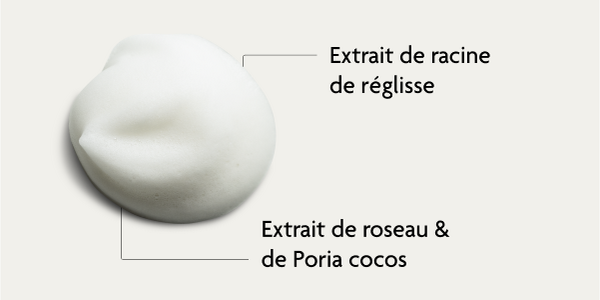 Ingrédients de la mousse nettoyante SKINTIST