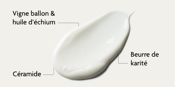 Ingrédients de la créme de jour SKINTIST