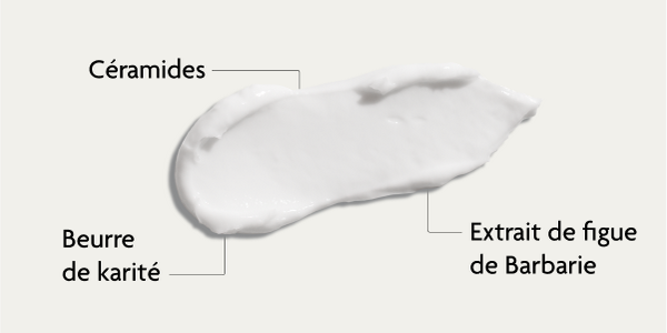 Ingrédients de la crème hydratante riche SKINTIST Hydro