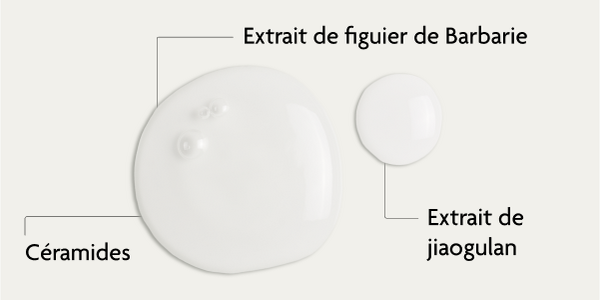 Ingrédients du sérum SKINTIST Hydro