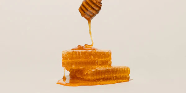 Alvéoles de la ruche de Manuka