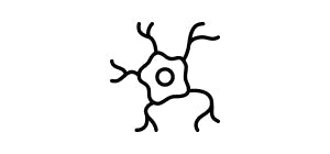 Cellule nerveuse