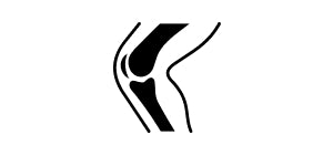 Articulation du genou