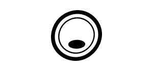 Cellule corporelle