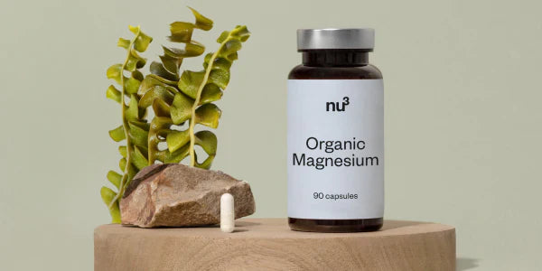 Boîte de magnésium et gélule à côté de la plante de laitue de mer